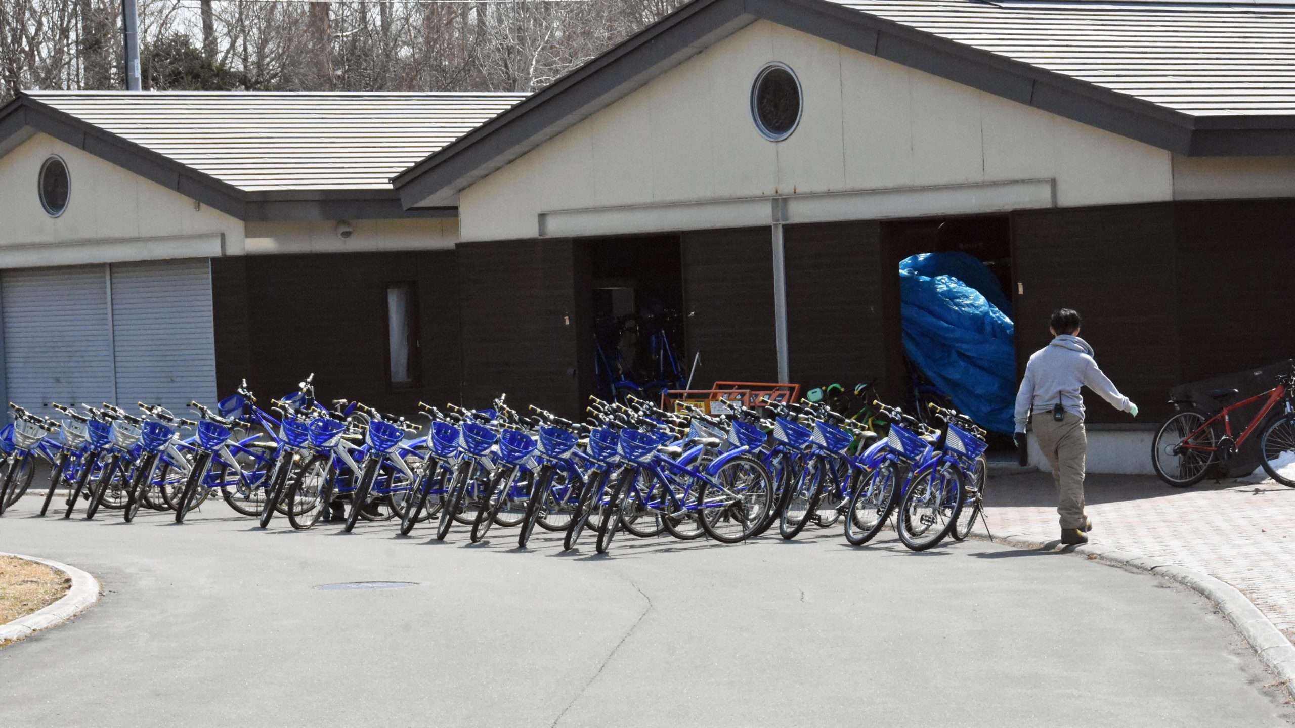 ネイパル森_たくさんの自転車が並ぶ