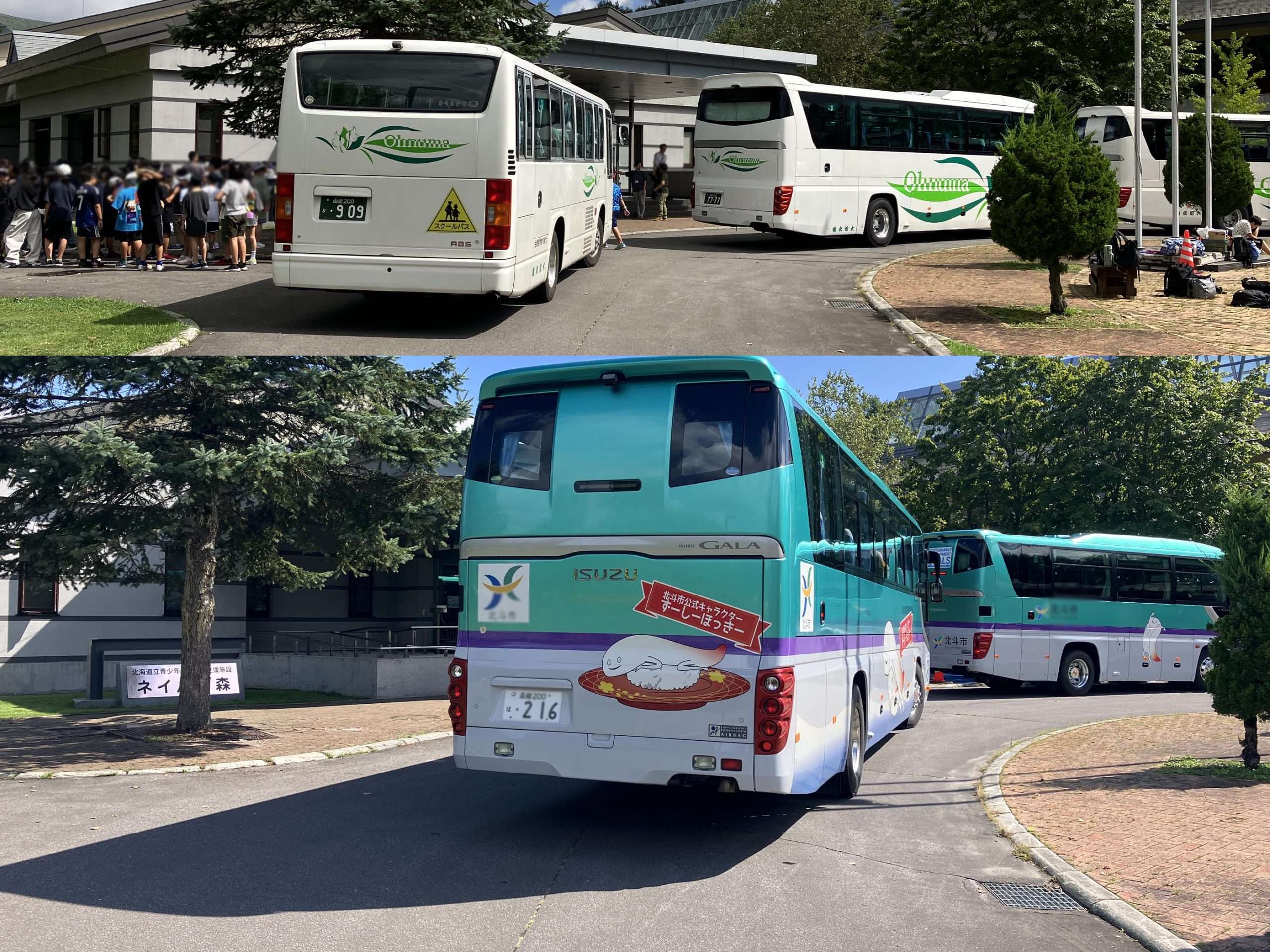 ネイパル森_バスが次々と